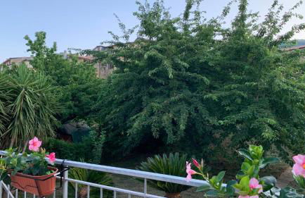 Il Ciliegio - Photo 15