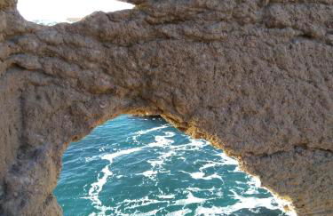Carro duplex les pieds dans l'eau et la tête dans les pins - Foto 17