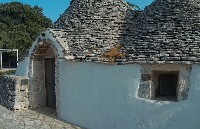 Tenuta Antico Leccio - Foto 16