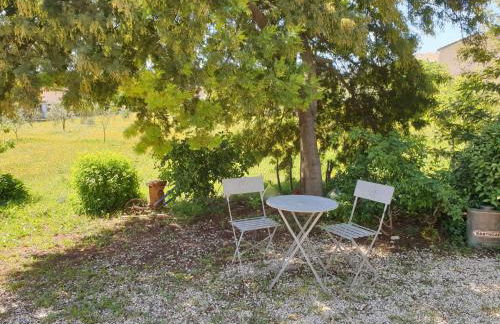 L'Oliveraie - Foto 8