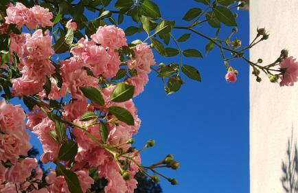 SWIM and CLIMB BAŠKA HOLIDAY HOUSE - island KRK - Foto 54