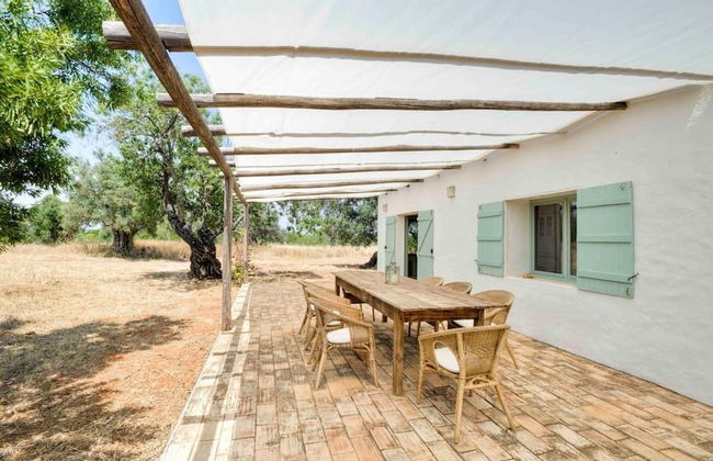 Morgado do Quintao - Foto 44