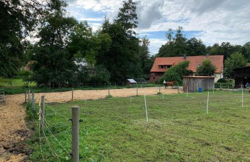 Wassermühle Habighorst - Foto 31