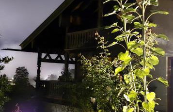 Haus Sunnleitn Vogelsang - Foto 13