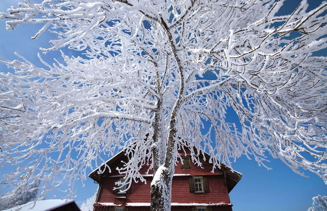 Apartment Near Pizol - Foto 32