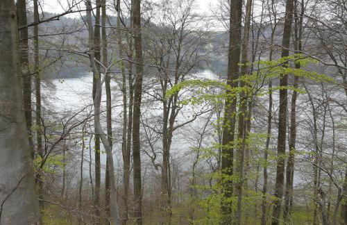 Main building Neumühle - Foto 17