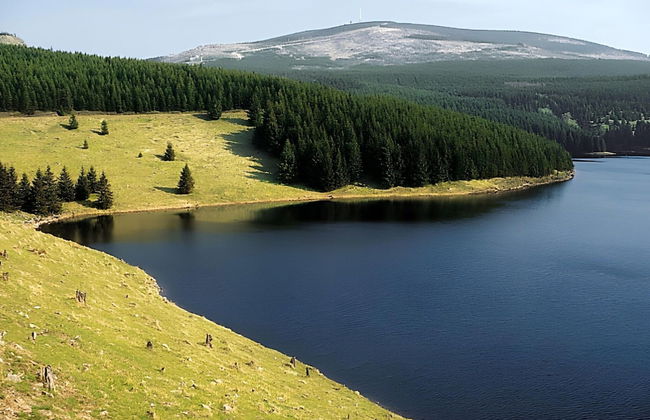 Cosy Apartment in Bad Harzburg With Garden - Foto 29