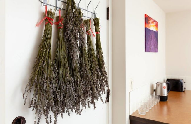 Cozy 3 Bedroom Suite near Queen Elizabeth Park - Foto 13