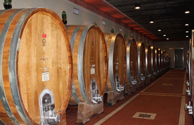 Cordella in Montalcino Wine Resort - Foto 37