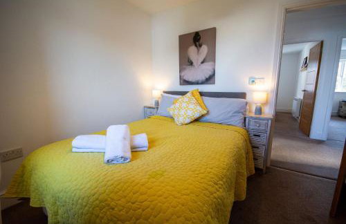 Pine Cones - Foto 22