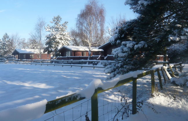 Cottage in Brookland With Private Sauna - Photo 24