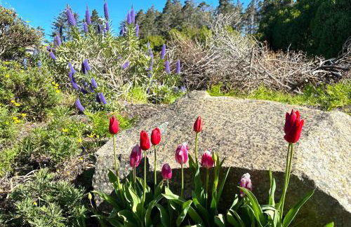 Ocean Bluff Serenity - Foto 38