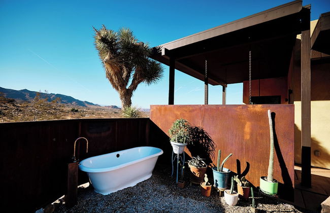 Sacred Sands - Lobo Luna - Photo 18