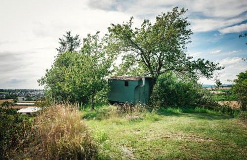 Haus Archaeopteryx – privater Außen-Pool – einzigartig im Naturpark - Foto 20