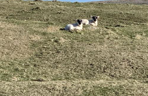 Nᴼ 21 Beautiful Cosy Modern Traditional Cottage - Photo 55