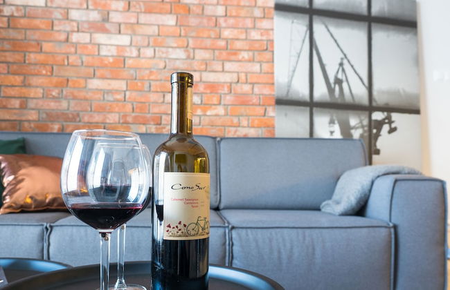 City Center Apartments SPA & Wellness by Apartmore - Foto 69