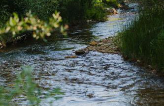 The Hummingbird at Zen Zion - Photo 50