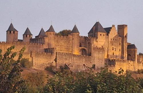 Le Mieukerien - Réserve africaine 15 mn - Plage 200 m - Foto 35