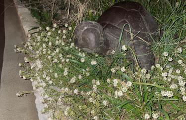 Magnifique vue sur la mer ... - Foto 74