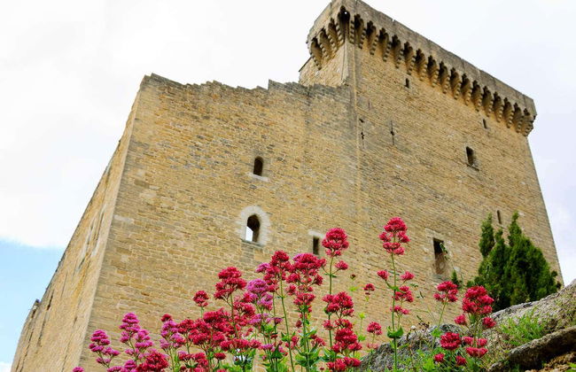 Excursion à Avignon, Châteauneuf du Pape et Les Baux - Photo 1