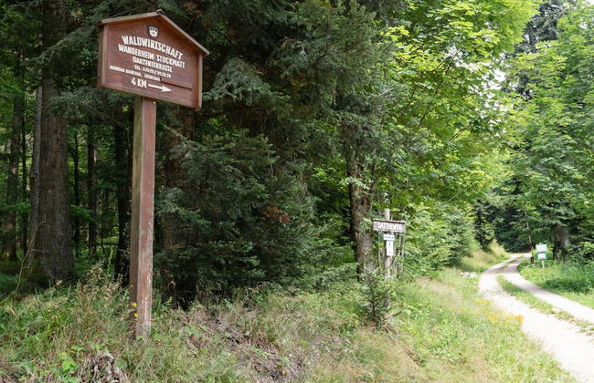 Apartment in Malsburg With Garden - Foto 23