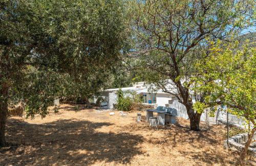 Andros Traditional House - Foto 27