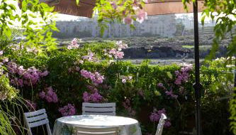 Tejita Beach - Foto 3, Garden, Garden view