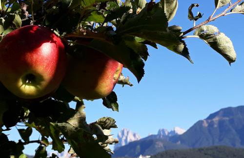 HAUSERHOF Farmhouse with Dolomite View - Foto 27