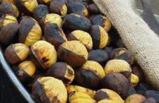 Nina's house, nonno Pepè - Foto 28