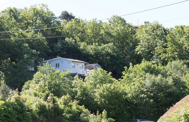 Soltvedts Cabin - Bjønnes - Foto 16