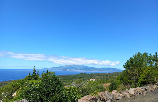 Pico Terrace - Photo 11