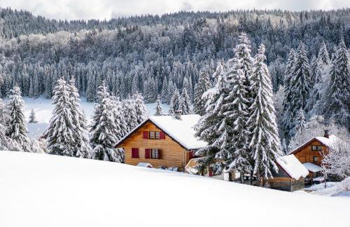 Le Diable Bleu - Foto 8