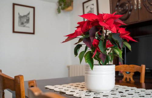 Casa Anita - Foto 20