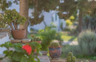 Antonina Hotel Apartments - Foto 34