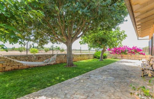 Finca Amer - Foto 27