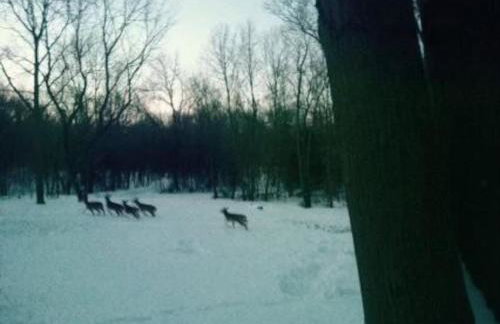 Peaceful Forested 5 Bdrm Near Lake sleeps up to 16 - Photo 19