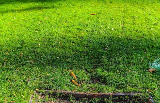 The Lodge at Lake Tahoe - Foto 75