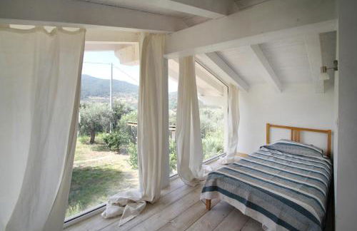 La Gabbianella E Il Gatto - Foto 38