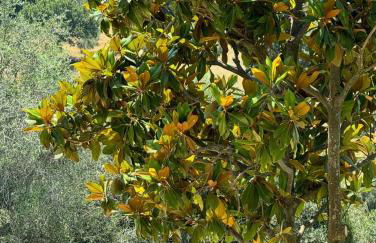 Madonna Del Poggio CAV - Apartments - Photo 50