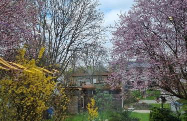 Wohnung mit Terasse und Garten - Foto 4