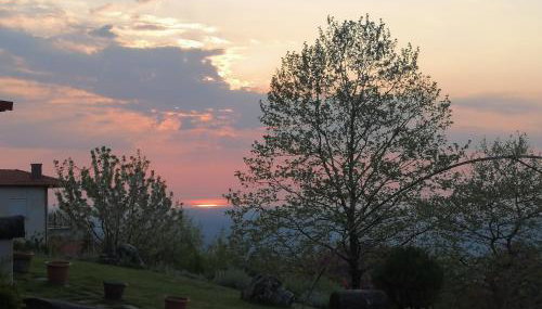 DIMITRA's VILLAS - Foto 4, Garden