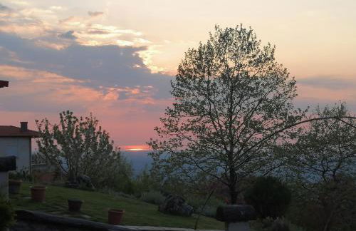 DIMITRA's VILLAS - Foto 4