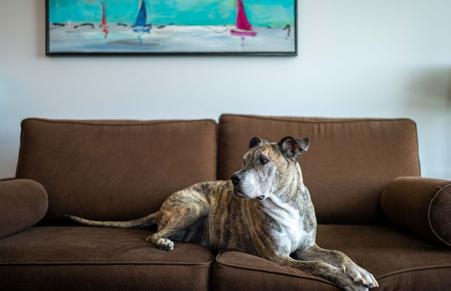 The Parkside Hotel & Spa - Foto 75