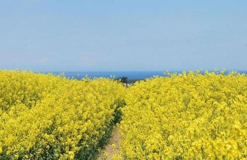 Peaceful Escape in Neu Karin - Foto 48