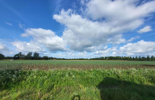 Peaceful Retreat Near Zeeland Beach - Photo 36