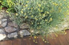 Apartman Legac - Foto 4