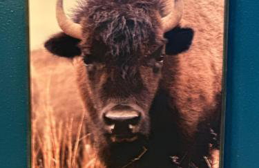 Buffalo & Bourbon-1 Bed1 Bath Private Condo - Foto 31