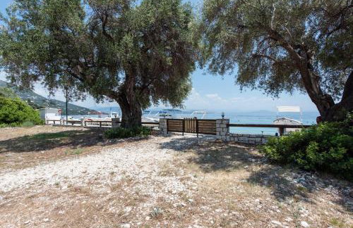 BIANCO BLU - Foto 25