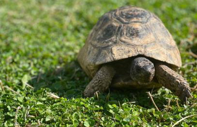 House of sunset 3 - Photo 44