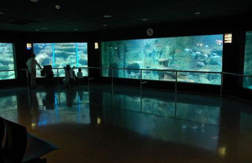 Roquetas Costa - Foto 20